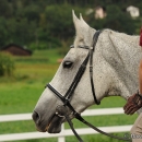 Reitkurs mit Desmond O’Brien - 2012