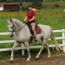 Reitkurs mit Desmond O’Brien - 2012