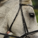 Reitkurs mit Desmond O’Brien - 2012