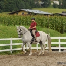 Reitkurs mit Desmond O’Brien - 2012