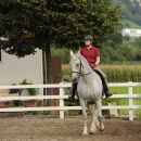 Reitkurs mit Desmond O’Brien - 2012