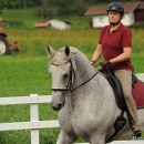 Reitkurs mit Desmond O’Brien - 2012