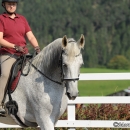 Reitkurs mit Desmond O’Brien - 2012