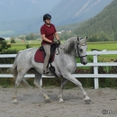 Reitkurs mit Desmond O’Brien - 2012