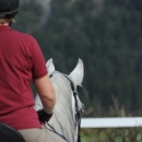 Reitkurs mit Desmond O’Brien - 2012