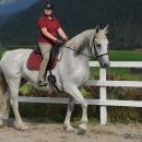 Reitkurs mit Desmond O’Brien - 2012