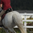 Reitkurs mit Desmond O’Brien - 2012