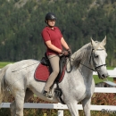 Reitkurs mit Desmond O’Brien - 2012