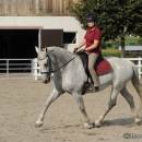 Reitkurs mit Desmond O’Brien - 2012