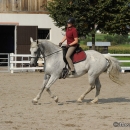 Reitkurs mit Desmond O’Brien - 2012