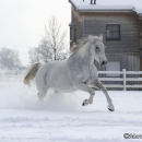 Winter 2012