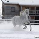 Winter 2012