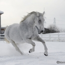 Winter 2012