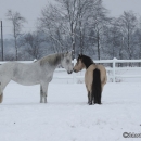 Winter 2012