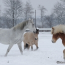 Winter 2012
