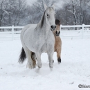 Winter 2012