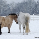 Winter 2012