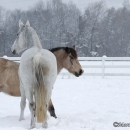 Winter 2012