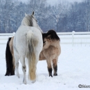 Winter 2012