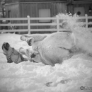 Winter 2012