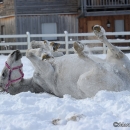Winter 2012