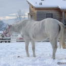 Winter 2012