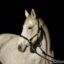 Ronja - Nachtshooting