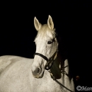 Ronja - Nachtshooting