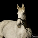 Ronja - Nachtshooting