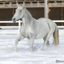 Ronja im Schnee - Feb. 2013