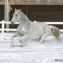 Ronja im Schnee - Feb. 2013