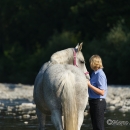 Ronja und ihr Team