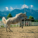 Ronja & Maestoso Alea