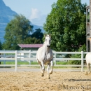 Ronja & Maestoso Alea