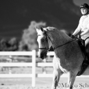 Ronja - Training Juli 2014