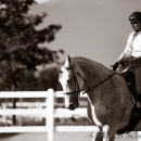 Ronja - Training Juli 2014