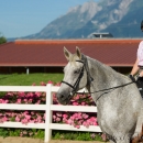 Ronja - Training Juli 2014