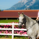Ronja - Training Juli 2014