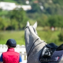 Klassische Dressur mit Desmond O'Brien