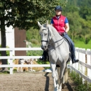 Klassische Dressur mit Desmond O'Brien
