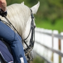 Klassische Dressur mit Desmond O'Brien
