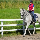 Klassische Dressur mit Desmond O'Brien