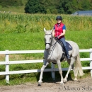 Klassische Dressur mit Desmond O'Brien