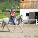 Klassische Dressur mit Desmond O'Brien