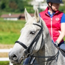 Klassische Dressur mit Desmond O'Brien