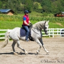 Klassische Dressur mit Desmond O'Brien