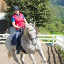 Klassische Dressur mit Desmond O'Brien