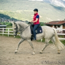 Klassische Dressur mit Desmond O'Brien