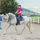 Klassische Dressur mit Desmond O'Brien