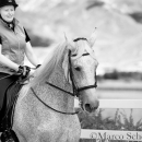 Klassische Dressur mit Desmond O'Brien